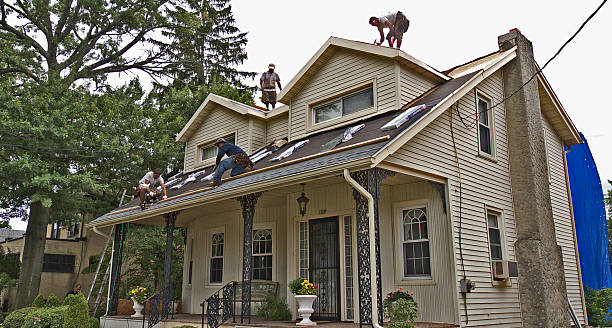 Best Roof Repair Specialists  in Lynchburg, MS